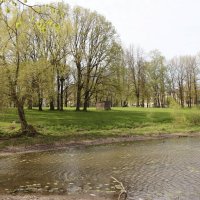 Орловский парк :: Наталья Герасимова
