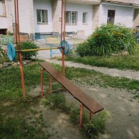 Штанга летняя. :: Игорь Солдаткин