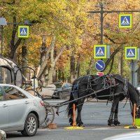 "В суете городов" :: Константин Бобинский