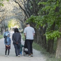 Семья на  прогулке :: Валентин Семчишин