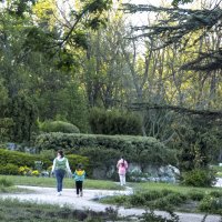 Ботанический сад  Н В Багрова :: Валентин Семчишин