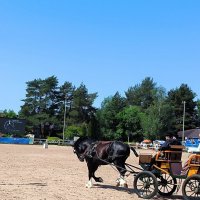 Выступают Атланты северной столицы. :: Ольга 