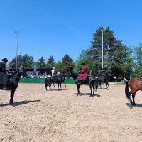 Черкесская и кабардинская порды. :: Ольга 