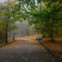 В старом парке..... :: Юрий Цыплятников