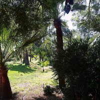 Барселона. :: Владимир Драгунский