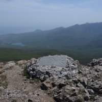 Природа Крыма :: Amazing Cosmea