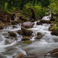 Лесной ручей Боки (2) :: Вениамин Скородумов