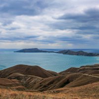 вид :: РозаВетроф 