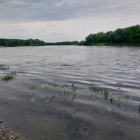 р.Ока в лесопарке :: Tarka 