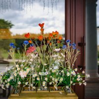 Суздаль. Июнь 2025 :: Вячеслав Владимирович