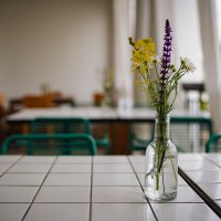 Суздаль. Июнь 2025 :: Вячеслав Владимирович