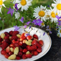 Июньский натюрморт :: Сергей Ц