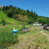 Партизанская поляна :: Tata Wolf Партизанская поляна :: Tata Wolf