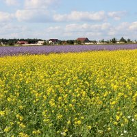 пейзаж :: Игорь 