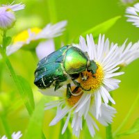 из снятого сегодня 3 :: Александр Прокудин