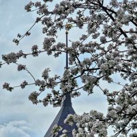 Весна в Варницах :: Михаил Свиденцов