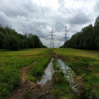 Не самая солнечная часть июня :: Андрей Лукьянов