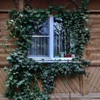 Окна-10 :: Любовь 