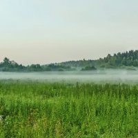 Панорама июньского утра :: Валерий Иванович Панорама июньского утра :: Валерий Иванович