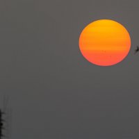 ***** :: Виталий Емельянов