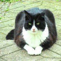 Ждёт меня :: Людмила Смородинская Ждёт меня :: Людмила Смородинская