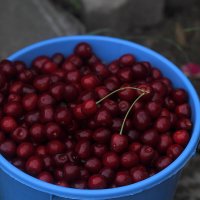 Съедено! :: Юрий Гайворонскiий