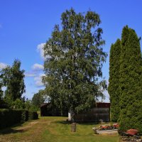 Однажды летом :) :: Татьян@ Ивановна