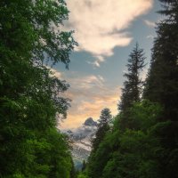 *** :: Николай Колобов