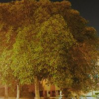 13  ОПЕН (163) :: OPEN WAYS ALL