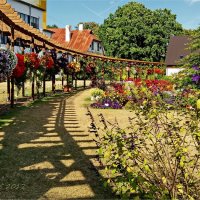 Пергала :: Liudmila LLF