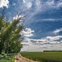 Просёлок вдоль трассы :: Константин Бобинский
