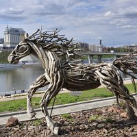 Конь деревянный :: Марина Виноградова