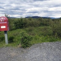 ** :: Александр Липовецкий ** :: Александр Липовецкий