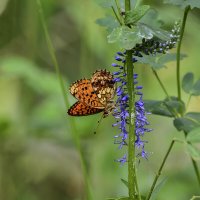 Лестница без перил :: Геннадий Супрун Лестница без перил :: Геннадий Супрун