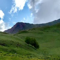 Как прекрасен этот мир! :: Светлана 13.06.