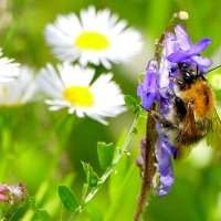 из снятого вчера 5 :: Александр Прокудин из снятого вчера 5 :: Александр Прокудин