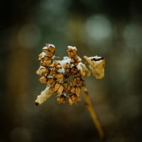 Макро :: Александр 