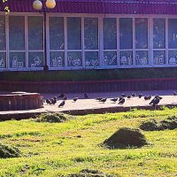 Июнь...Сенокос на газонах! :: Владимир 