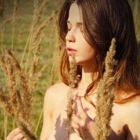 **** :: Kirill Poe **** :: Kirill Poe