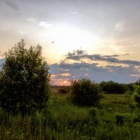 Вечер в пойме Клязьмы :: Сергей Цветков Вечер в пойме Клязьмы :: Сергей Цветков