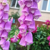 ,,, :: Сергей Тимоновский ,,, :: Сергей Тимоновский