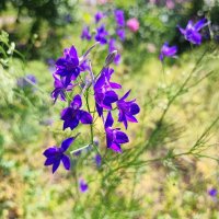 ,,, :: Сергей Тимоновский