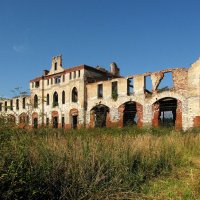 Конный двор :: Александр Ильчевский 