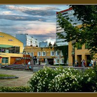 На бульваре в июне :: Владимир Кроливец