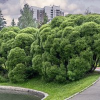 Парки Москвы :: Aleksey Afonin