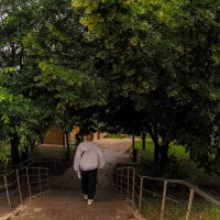 ***** :: юрий поляков