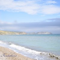 Природа Крыма :: Amazing Cosmea