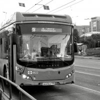 Автобус на линии! :: Михаил Соколов