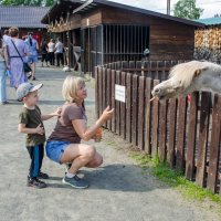 в зоопарке :: Елена Кордумова