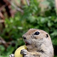 Прощальные кадры :: Александр Кондаков Прощальные кадры :: Александр Кондаков